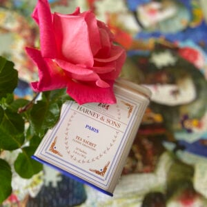 Harney & Sons - Paris