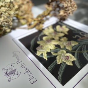 Elizabeth Bradley - Cymbidium or Boat Orchid (cream background)