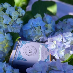 Harney & Sons - Black Currant