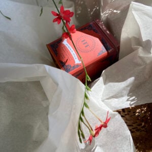 Harney & Sons - Pumpkin Spice