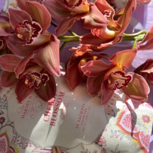 Harney & Sons - Cherry Blossom Bag of 50 sachets